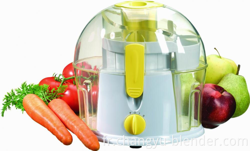 Household vegetable and fruit juicer